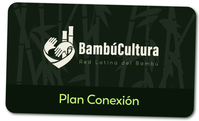 Plan Conexión - Bambúcultura Red latina del Bambú